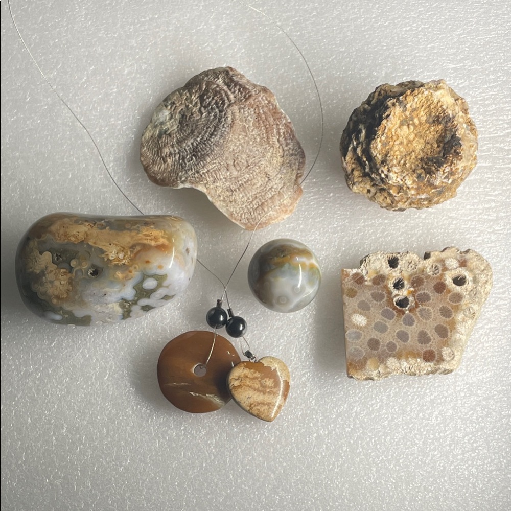 Ocean Bundle with Fossils